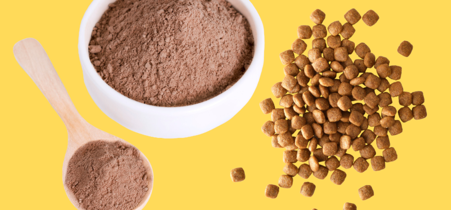 The Future of Dog Food: Insect-based Protein