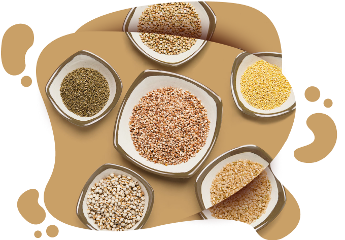 Photo of Bowls of ancient grains like barley, millet, chia and amaranth