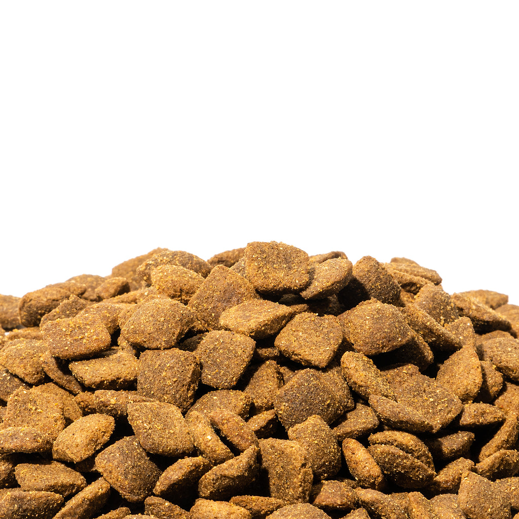 Best dry food for dogs